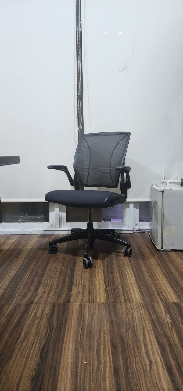 Kursi Humanscale DIffrent World - USA